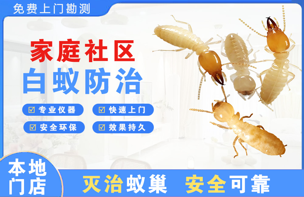 南湖家庭社区白蚁防治