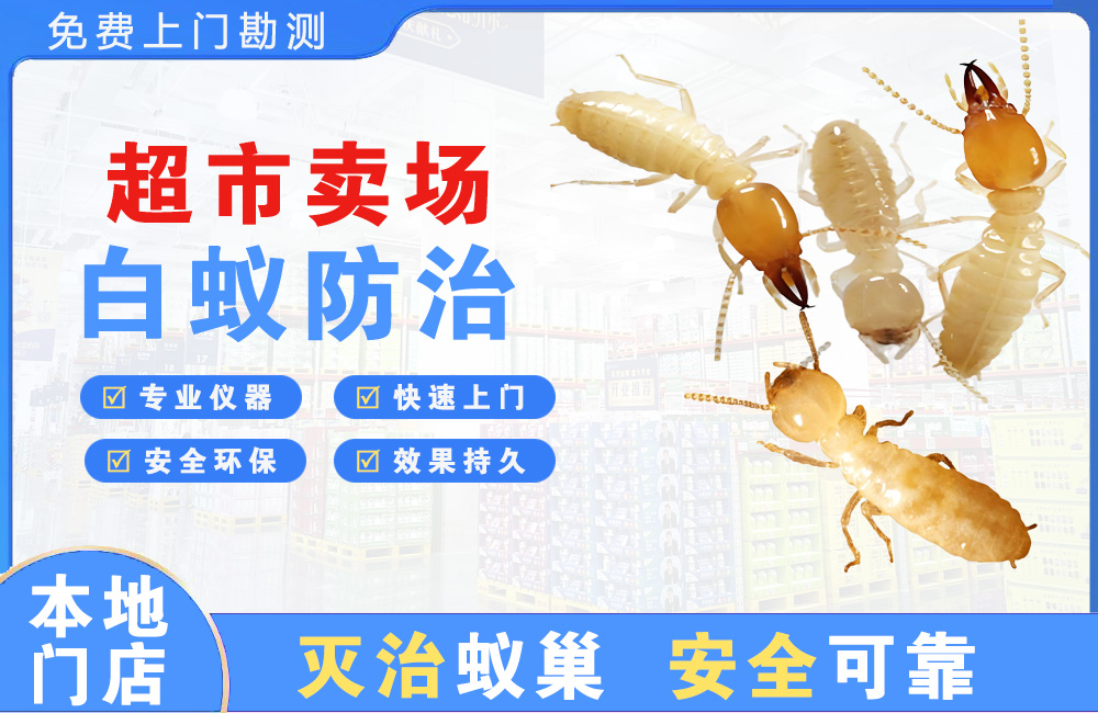 南湖超市卖场白蚁防治
