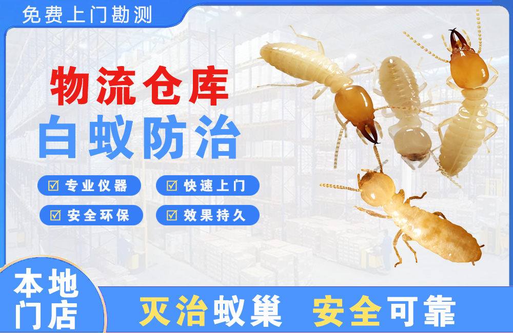 南湖物流仓库白蚁防治