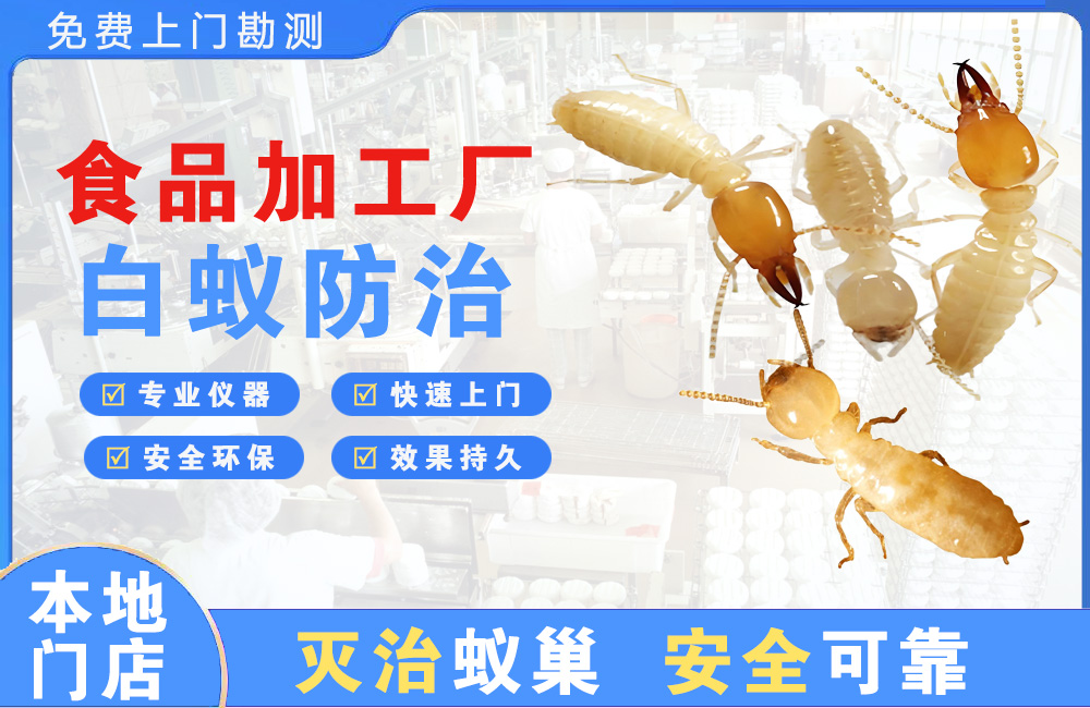 南湖食品加工厂白蚁防治