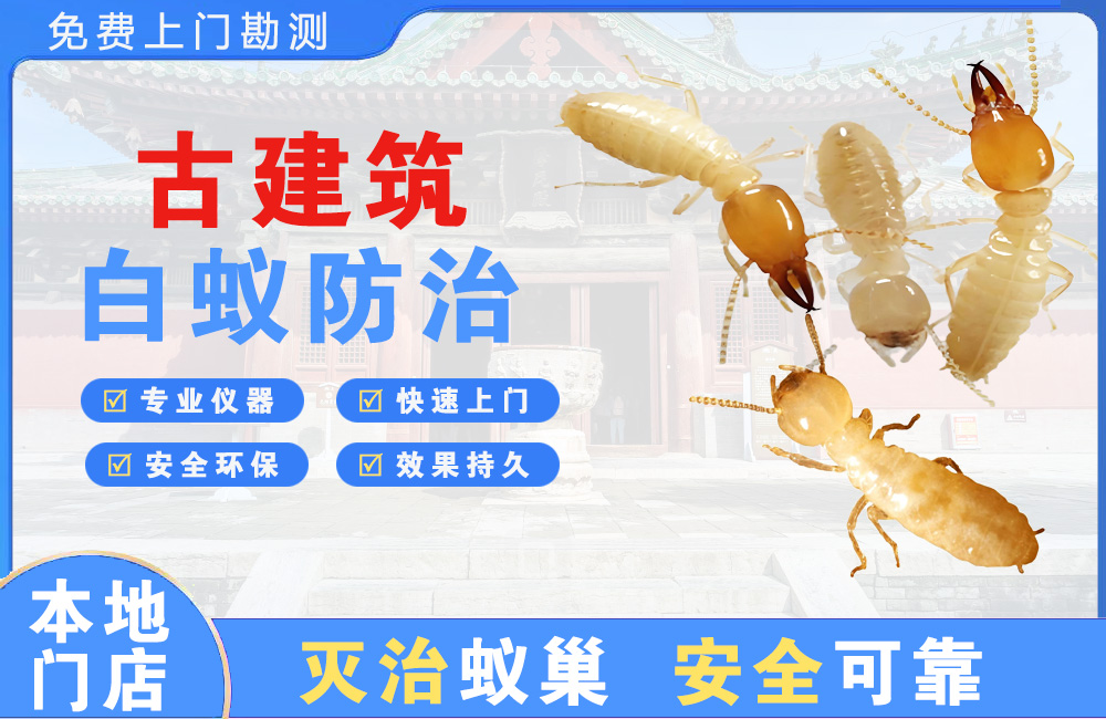 南湖古建筑白蚁防治