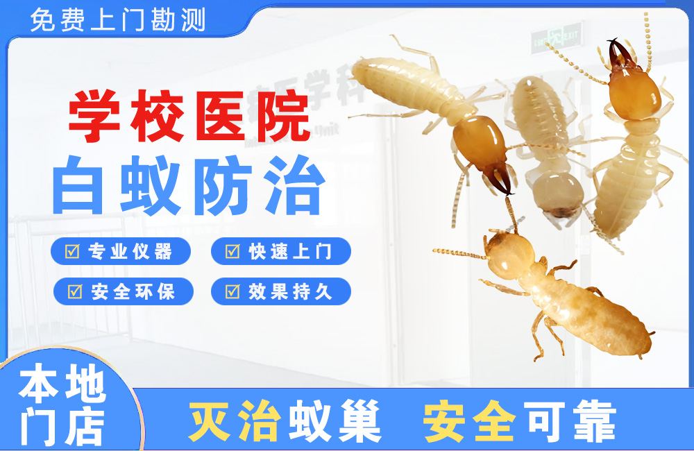 南湖学校医院白蚁防治