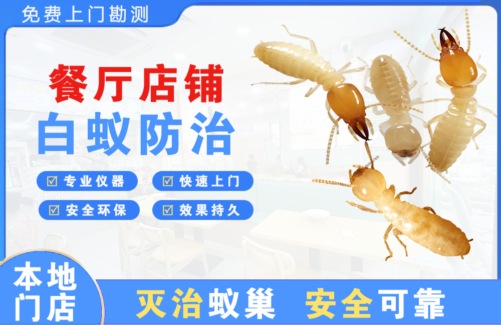南湖餐厅店铺白蚁防治